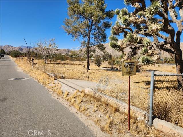 56646 Antelope - Photo 1