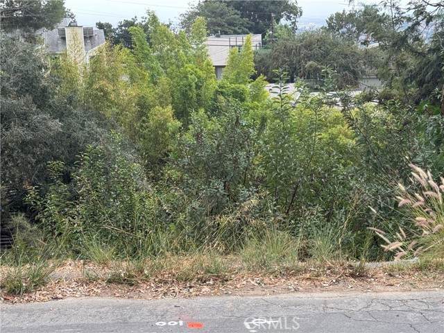 891 Mount Washington - Photo 1