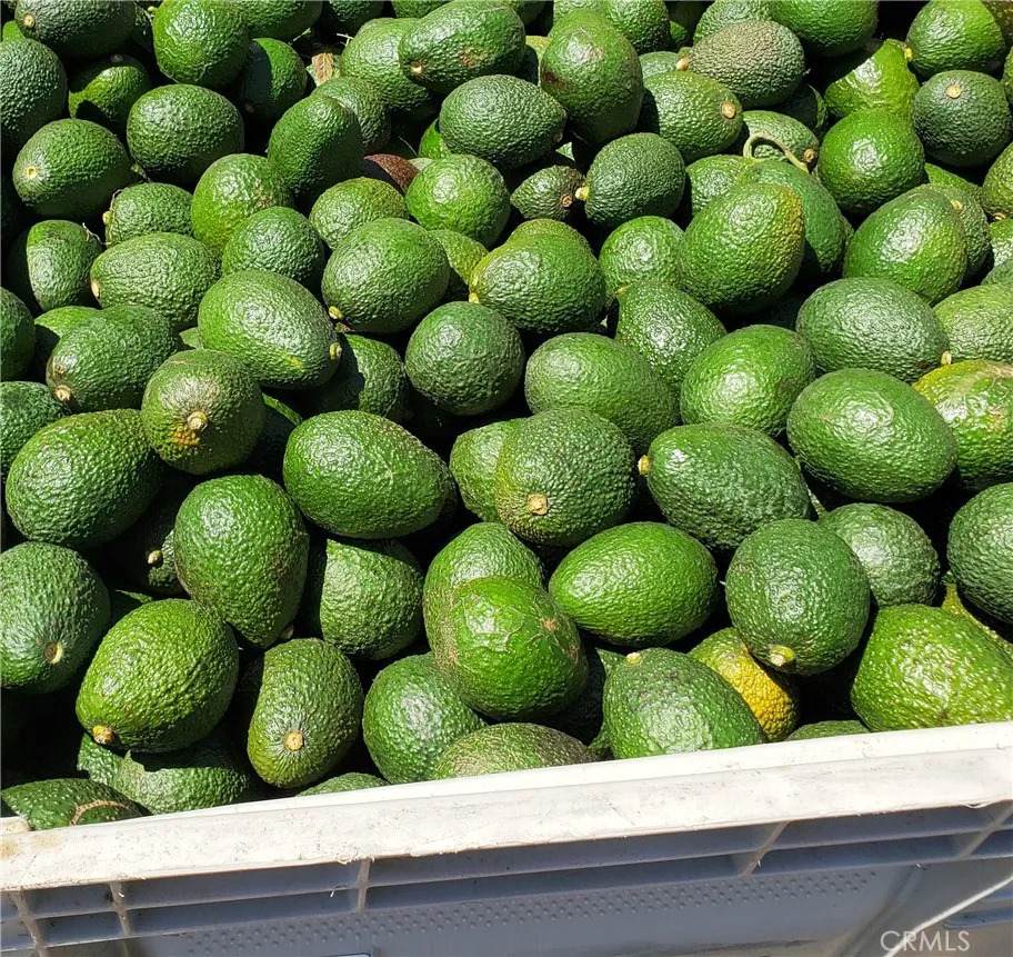 43520 Calle Colina - Photo 1