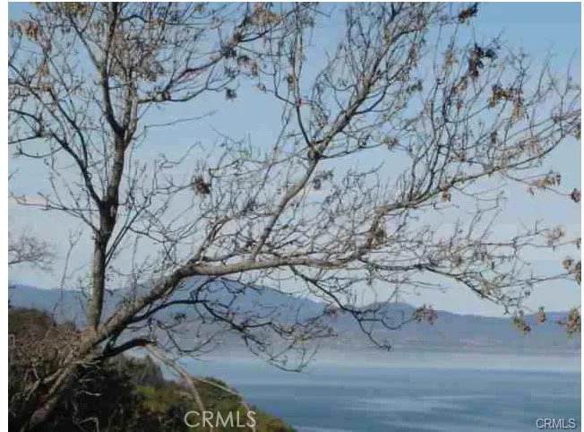 7911 Soda Bay - Photo 1