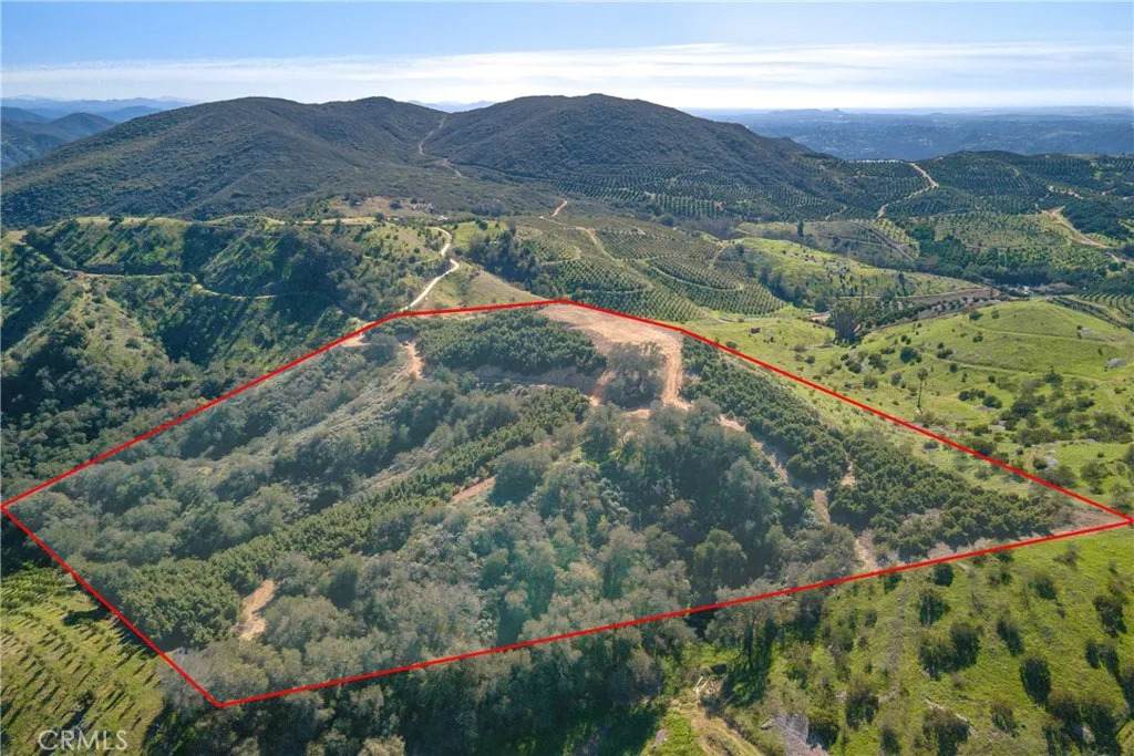 4 Calle Uva - Photo 1