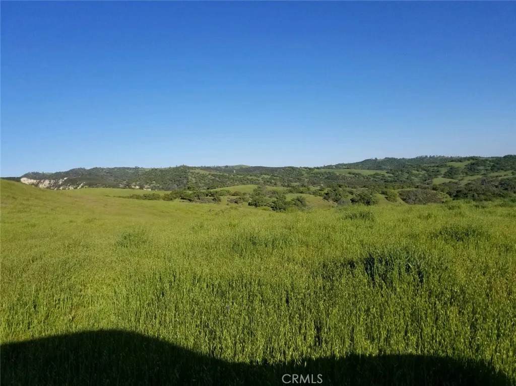 71901 Vineyard Canyon Road - Photo 1