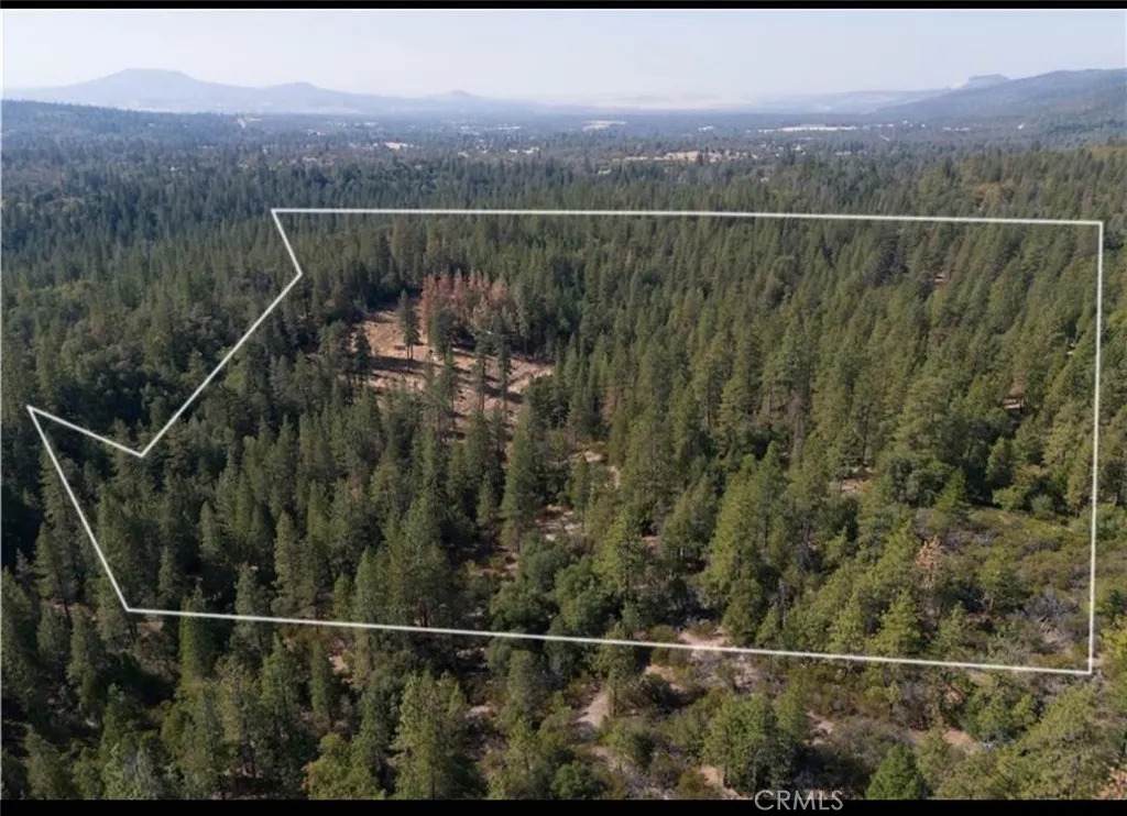 5901 Manton Ponderosa Way - Photo 1