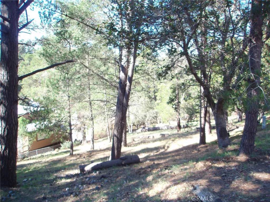 https://bt-photos.global.ssl.fastly.net/sandiego/orig_boomver_2_306404272-1.jpg
