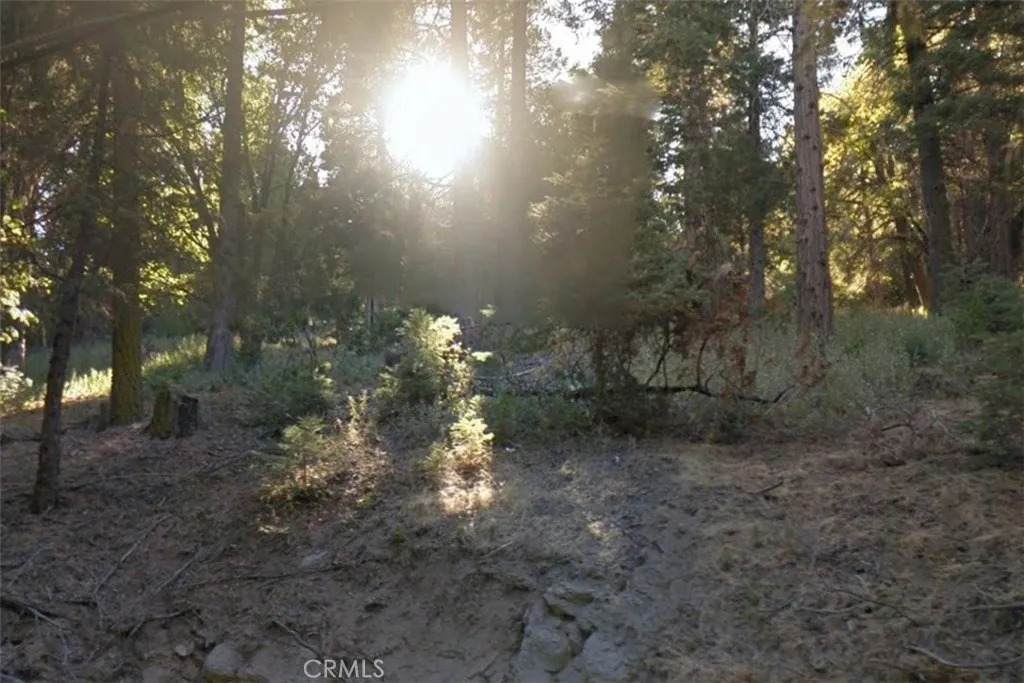 20 Burnt Mill Canyon - Photo 1