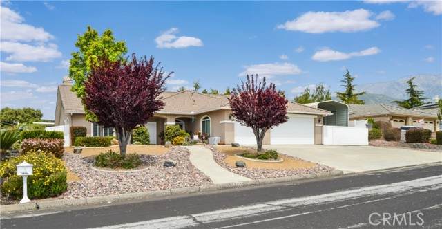 38256 Wild Poppy Lane - Photo 1