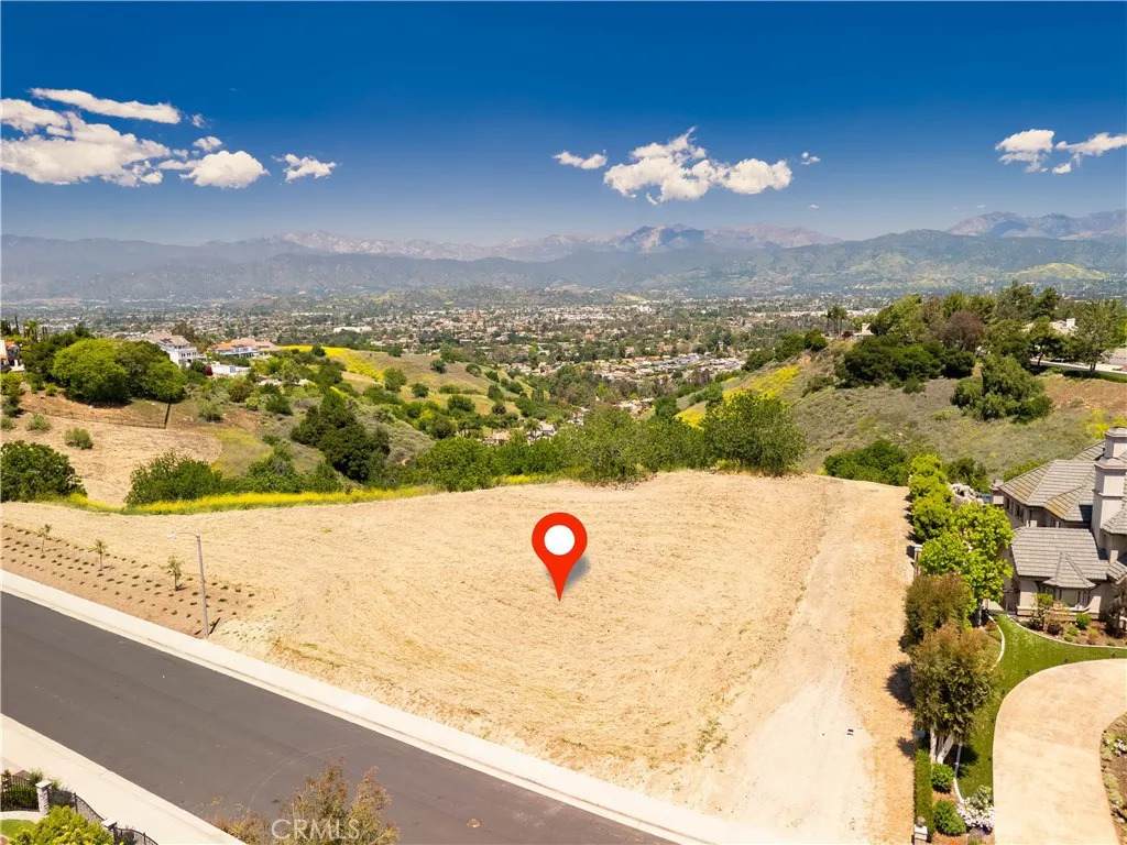 1545 Calle Cristina - Photo 1