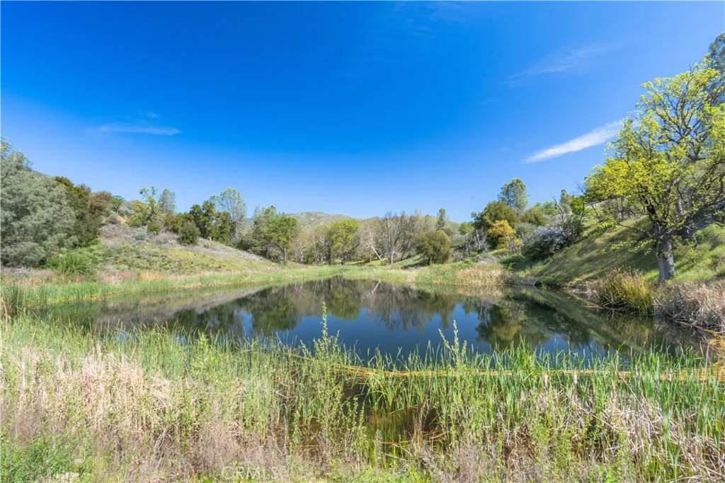 0 Av Ranch - Photo 1