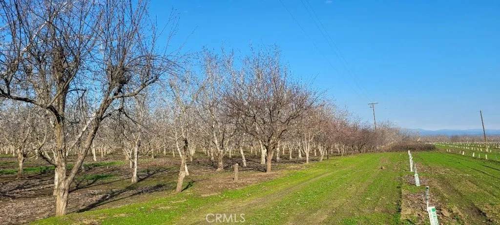 0 River Road - Photo 1