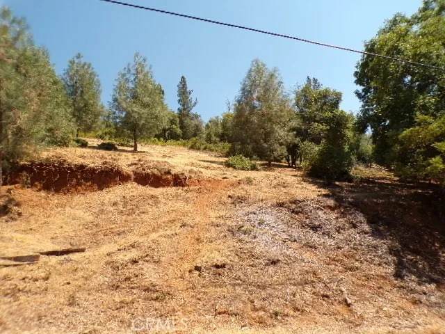 3122 Skyline - Photo 1