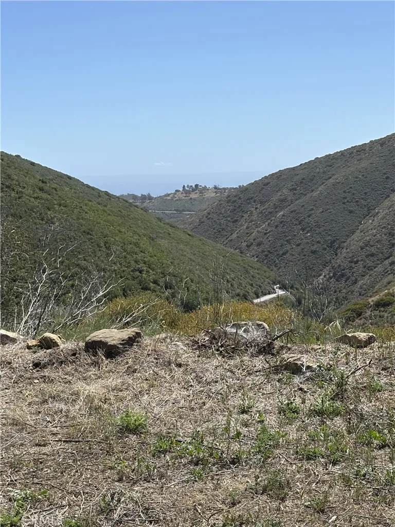 12110 Yellow Hill - Photo 1