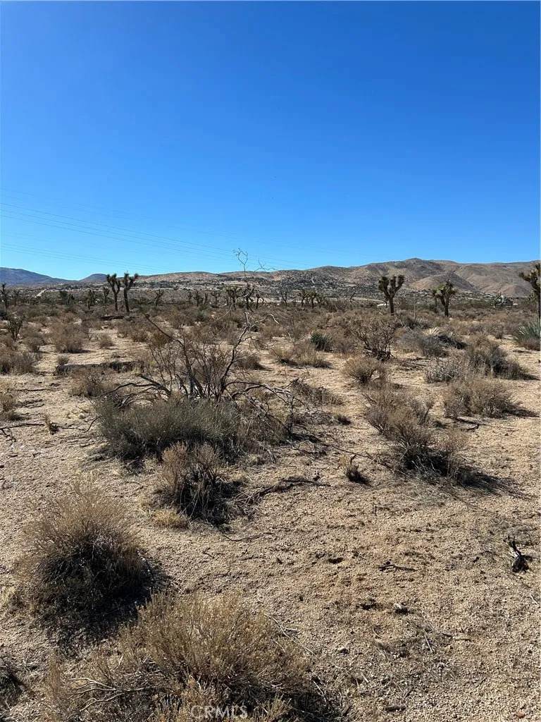 172062 Poppy Rd - Photo 1