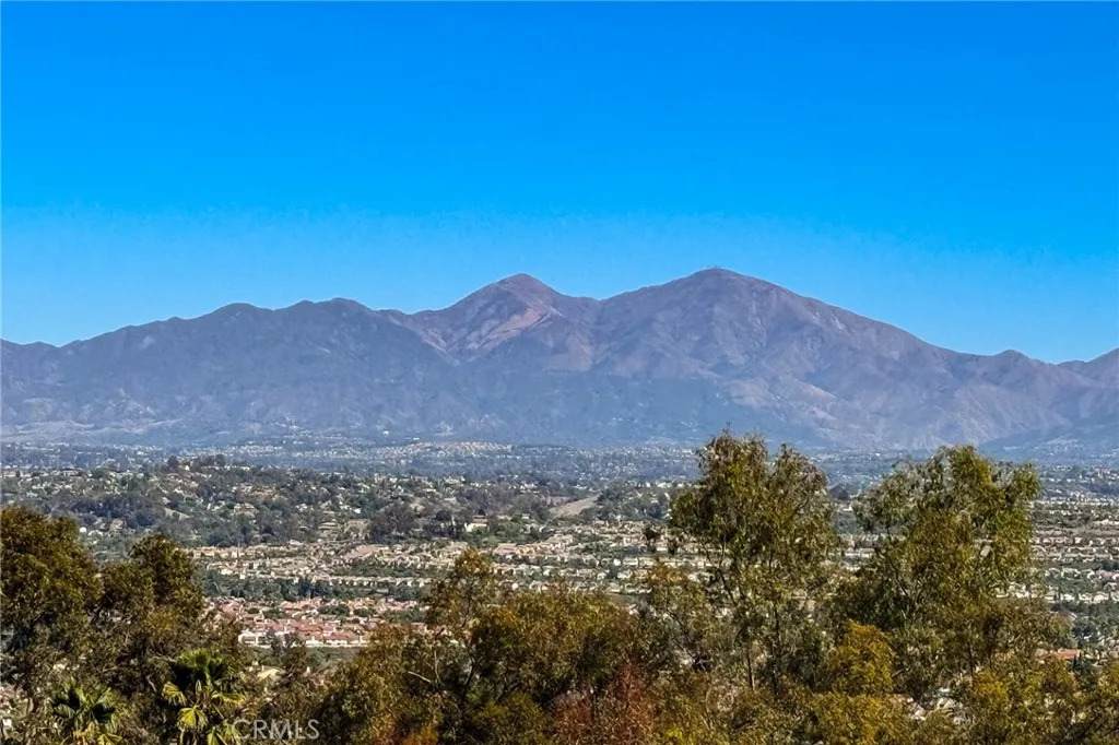 29314 Elba Drive - Photo 1