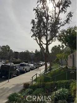 22219 Erwin Street - Photo 1