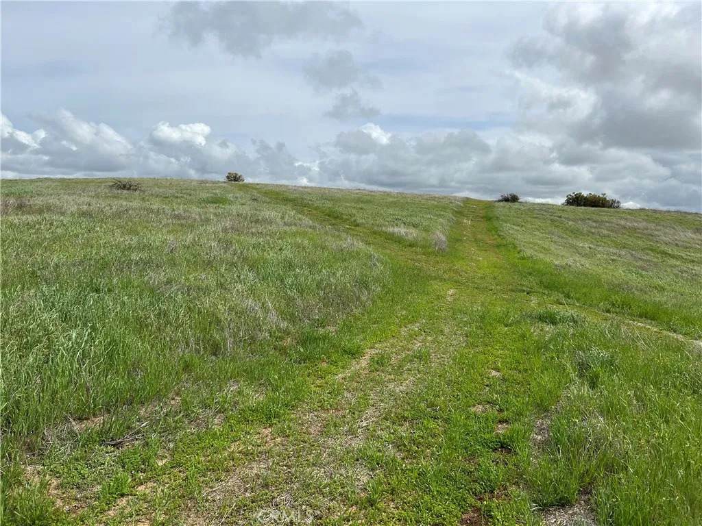 5160 Needs Road Name - Photo 1