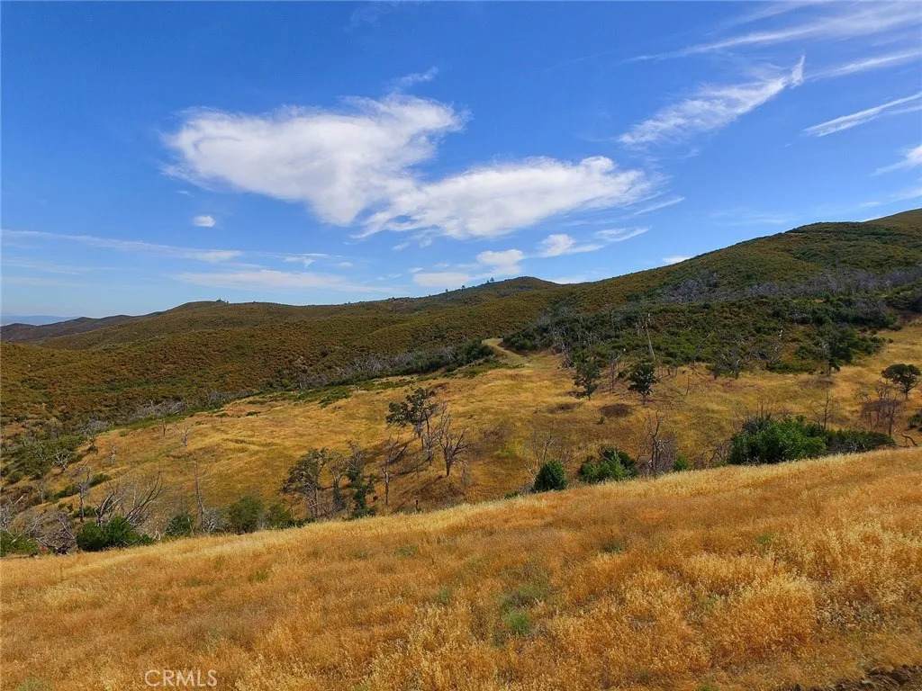 20808 Morgan Valley - Photo 1