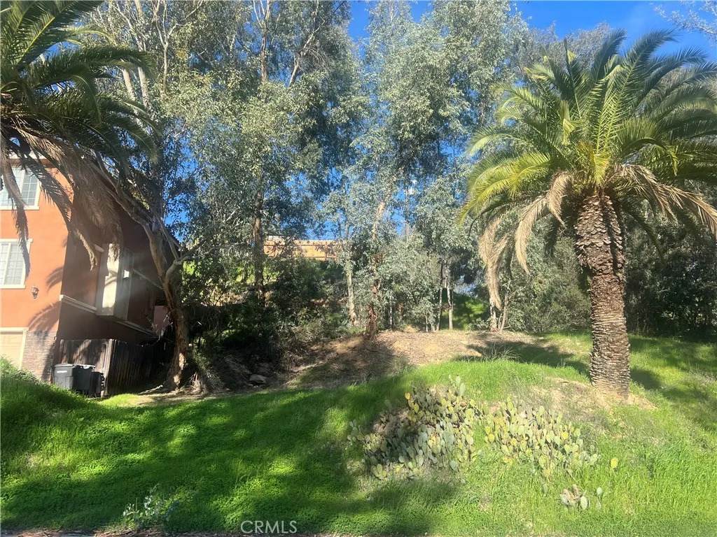 https://bt-photos.global.ssl.fastly.net/sandiego/orig_boomver_3_306622646-1.jpg