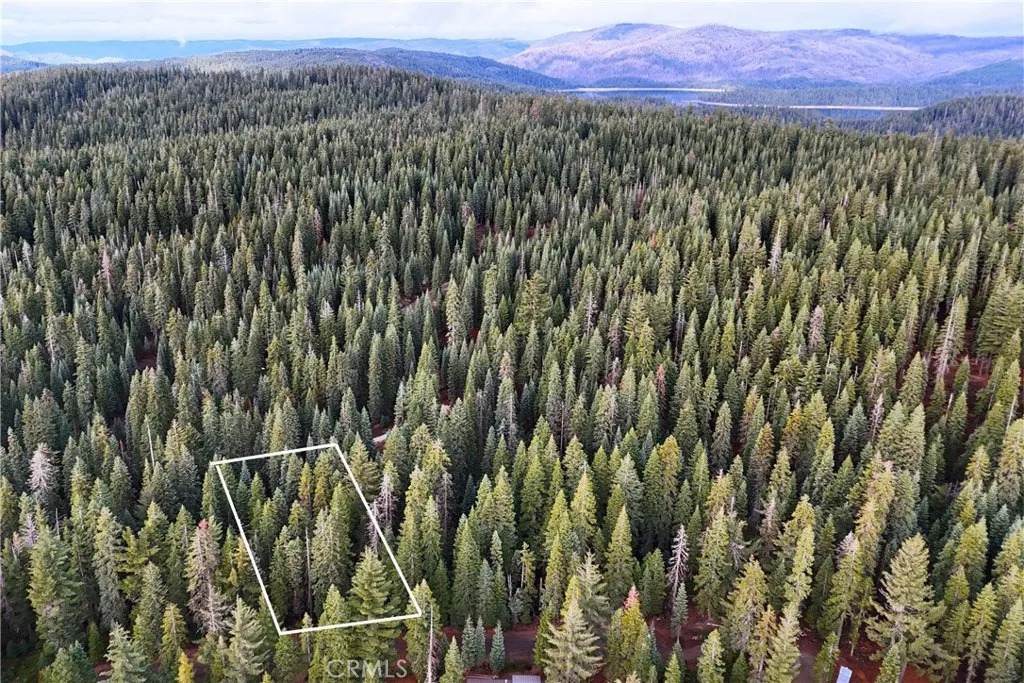 1100 Cleghorn - Photo 1