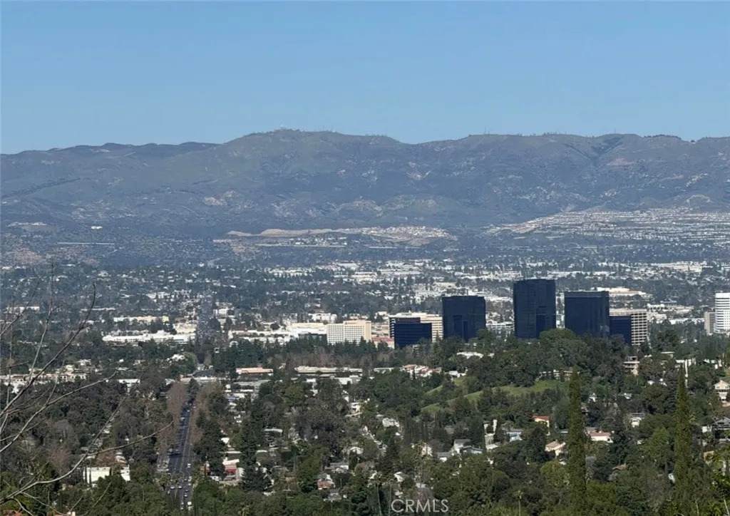 3300 N Topanga Canyon Blvd - Photo 1