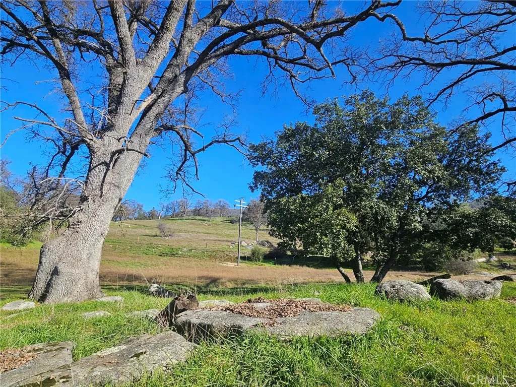 59366 Road 225 - Photo 1