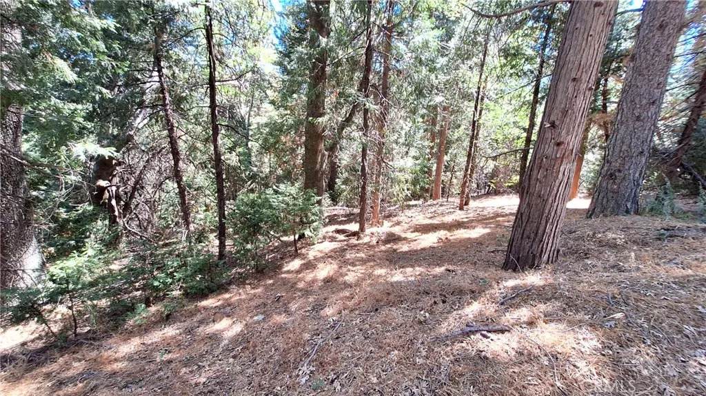 0 Cedar Pines - Photo 1