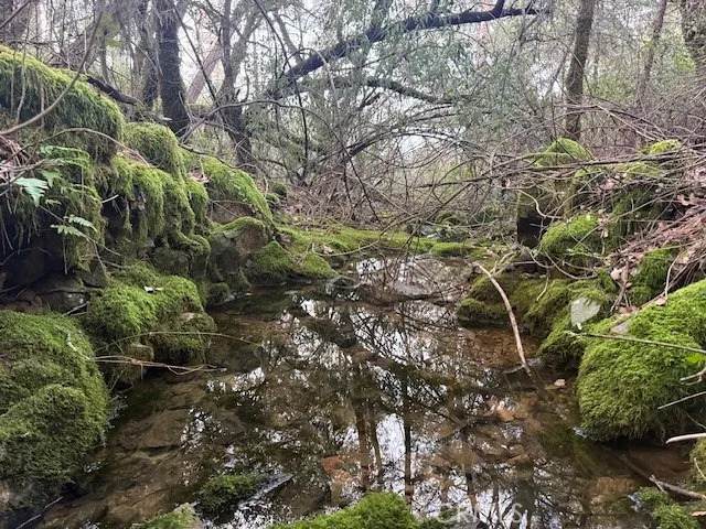 0 Rex Lane - Photo 1