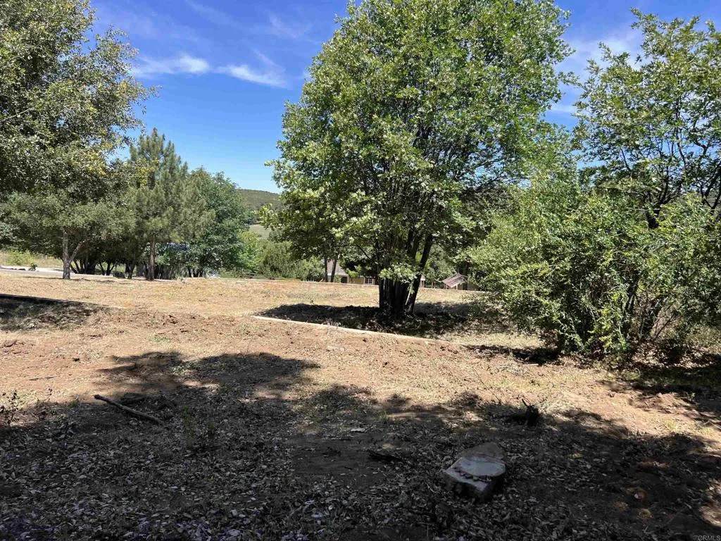  Harrison Park - Photo 1