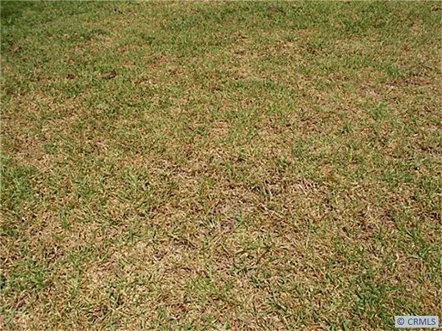 0 Close To Beverly Glen Blvd - Photo 1