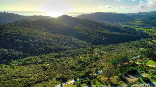 6645 Fern Canyon Road - Photo 1