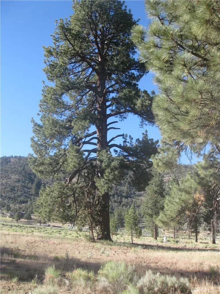 2824 Erwin Ranch - Photo 1