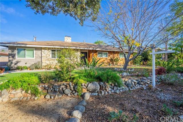 545 Occidental Drive - Photo 1