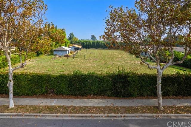 2236 Holly - Photo 1