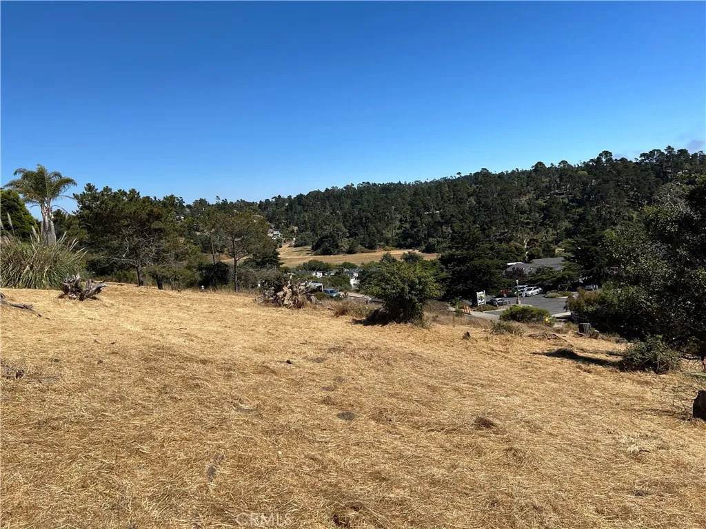 4925 Grove - Photo 1
