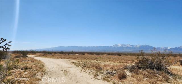 0 Vac/Largo Vista Drt/Ave T Drt /Vic 204 Ste - Photo 1