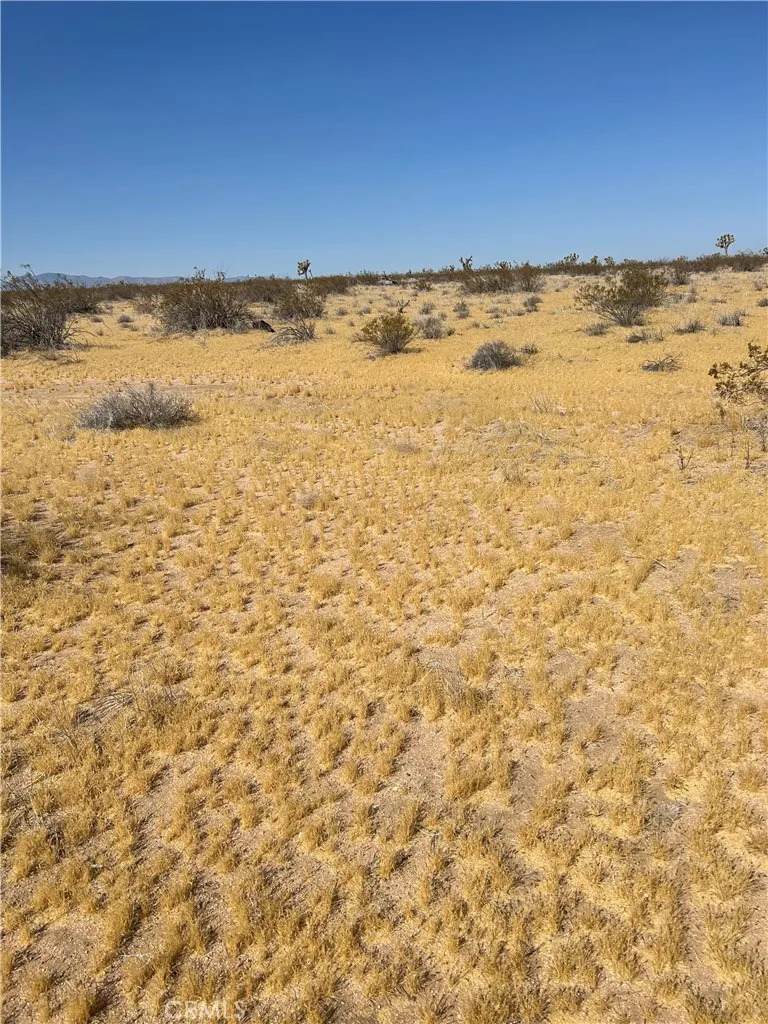 5 Mi N/O Shadow Mt - Photo 1