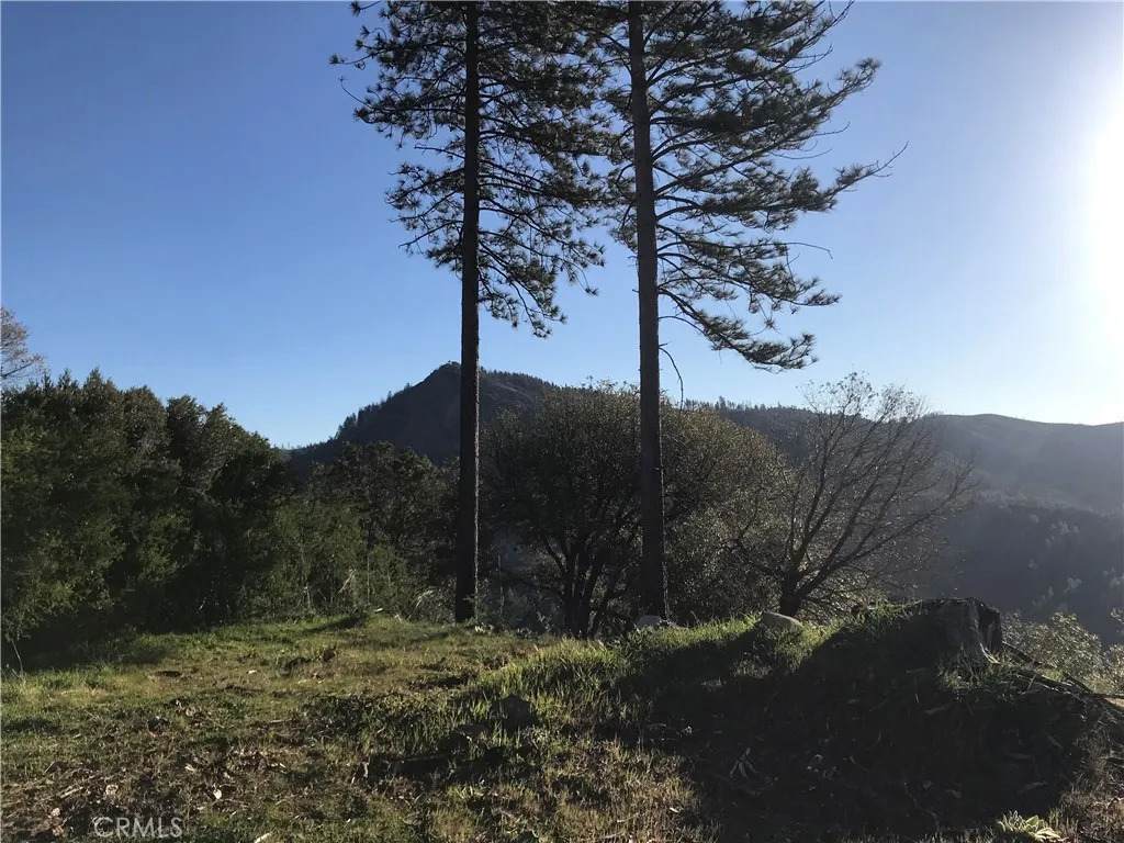 13660 Skyway - Photo 1