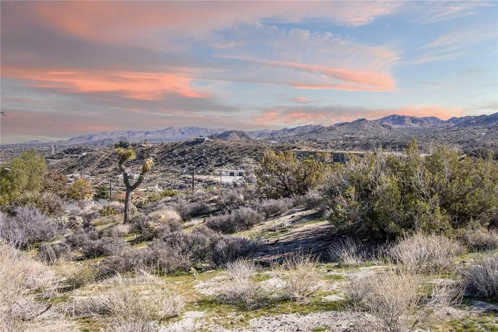 7587 Rockaway - Photo 1