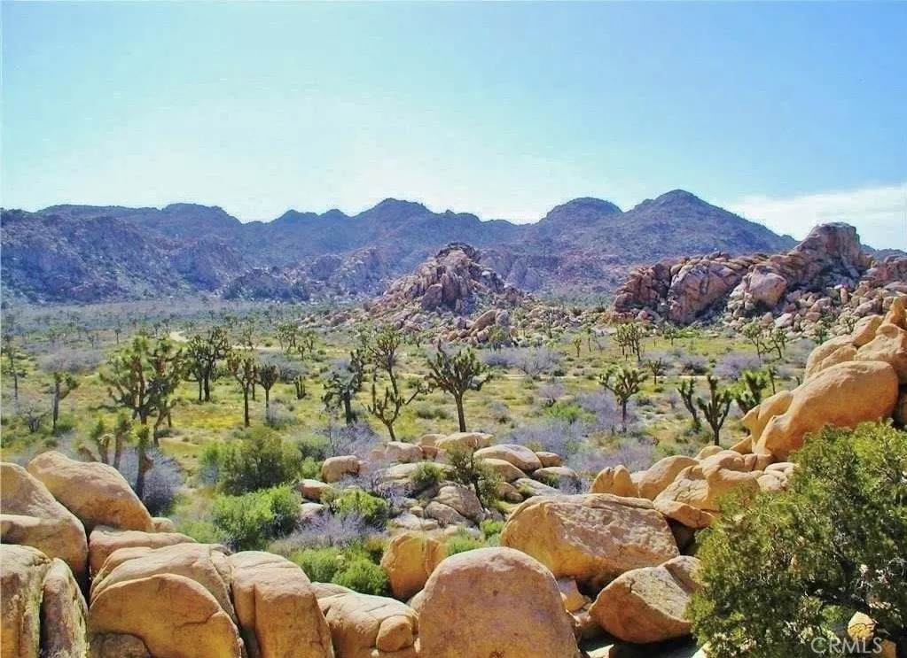 61936 El Reposo - Photo 1