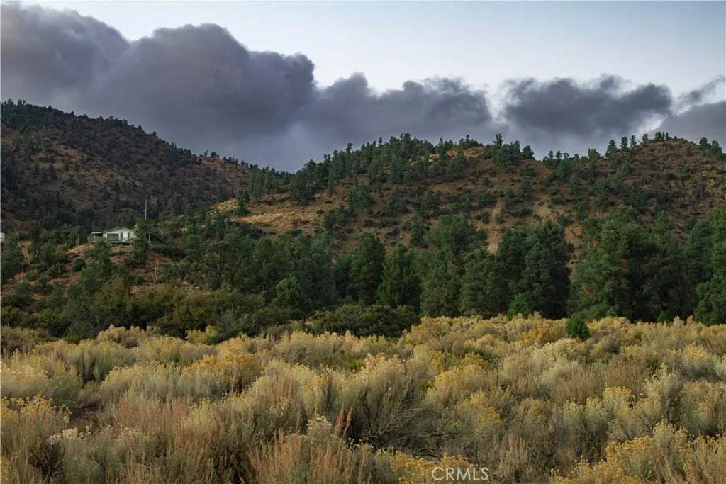 0 Curtis Trl - Photo 1