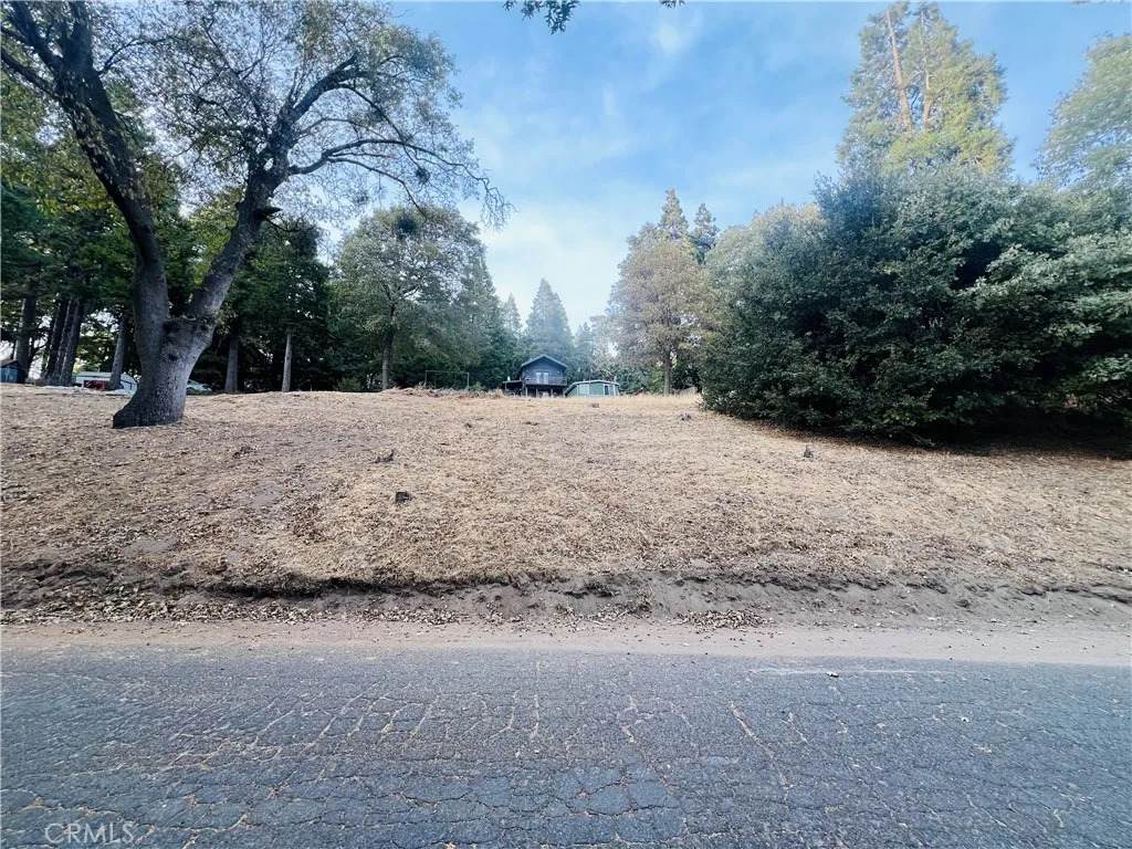 0 Mojave River - Photo 1