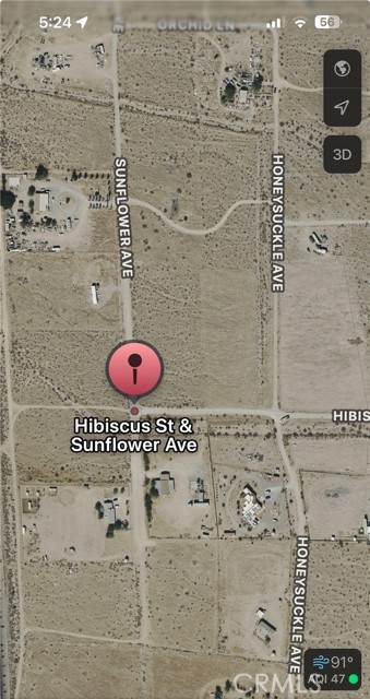 0 Sunflower - Photo 1