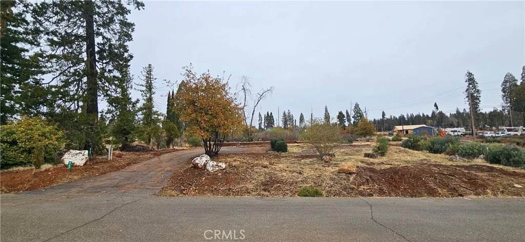 6197 Ponderosa - Photo 1