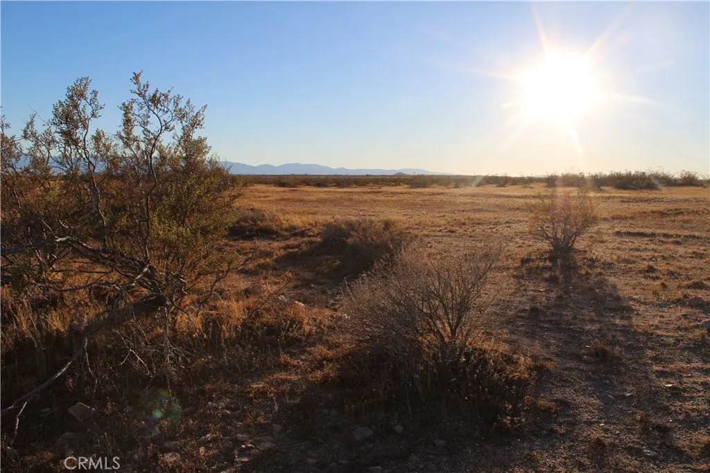 0 Cor Ave D8 Drt 215 Ste - Photo 1