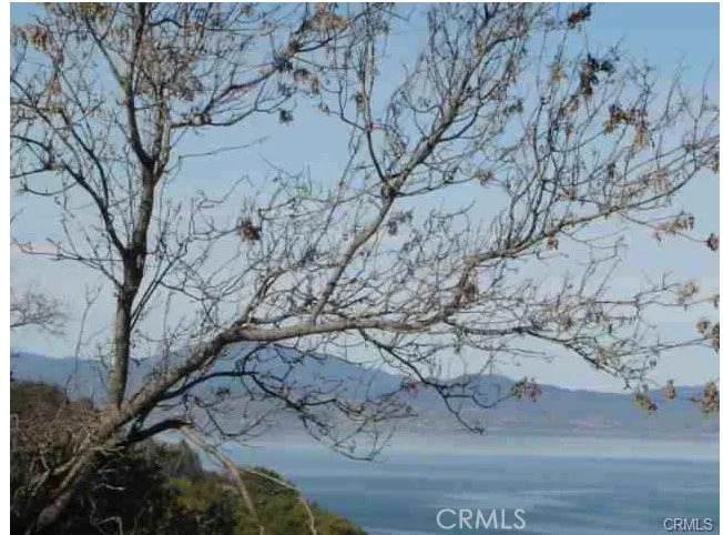 7911 Soda Bay - Photo 1