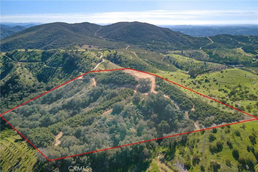 4 Calle Uva - Photo 1