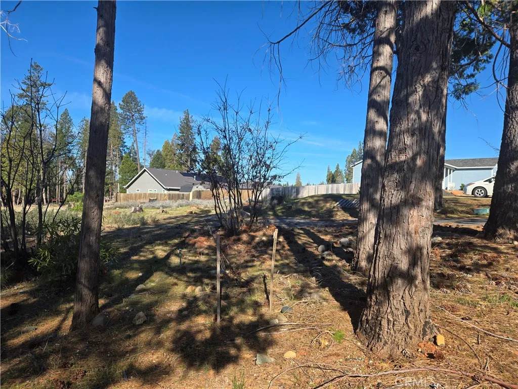 13891 Carver - Photo 1
