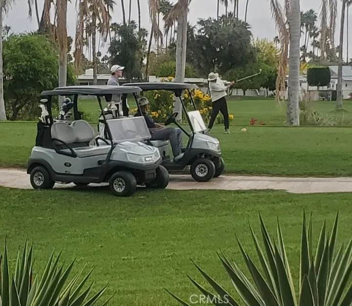 2220 Calle Palo Fierro - Photo 1