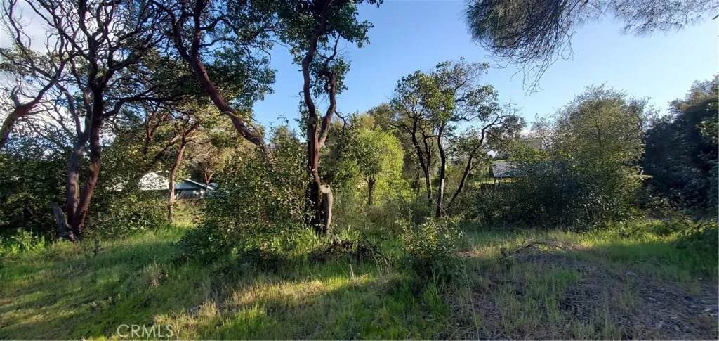 13577 Sonoma - Photo 1