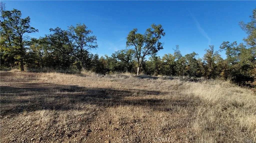 17435 Quail Ridge - Photo 1