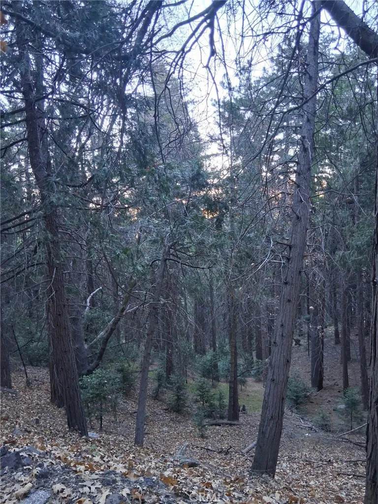 0 Reservoir - Photo 1